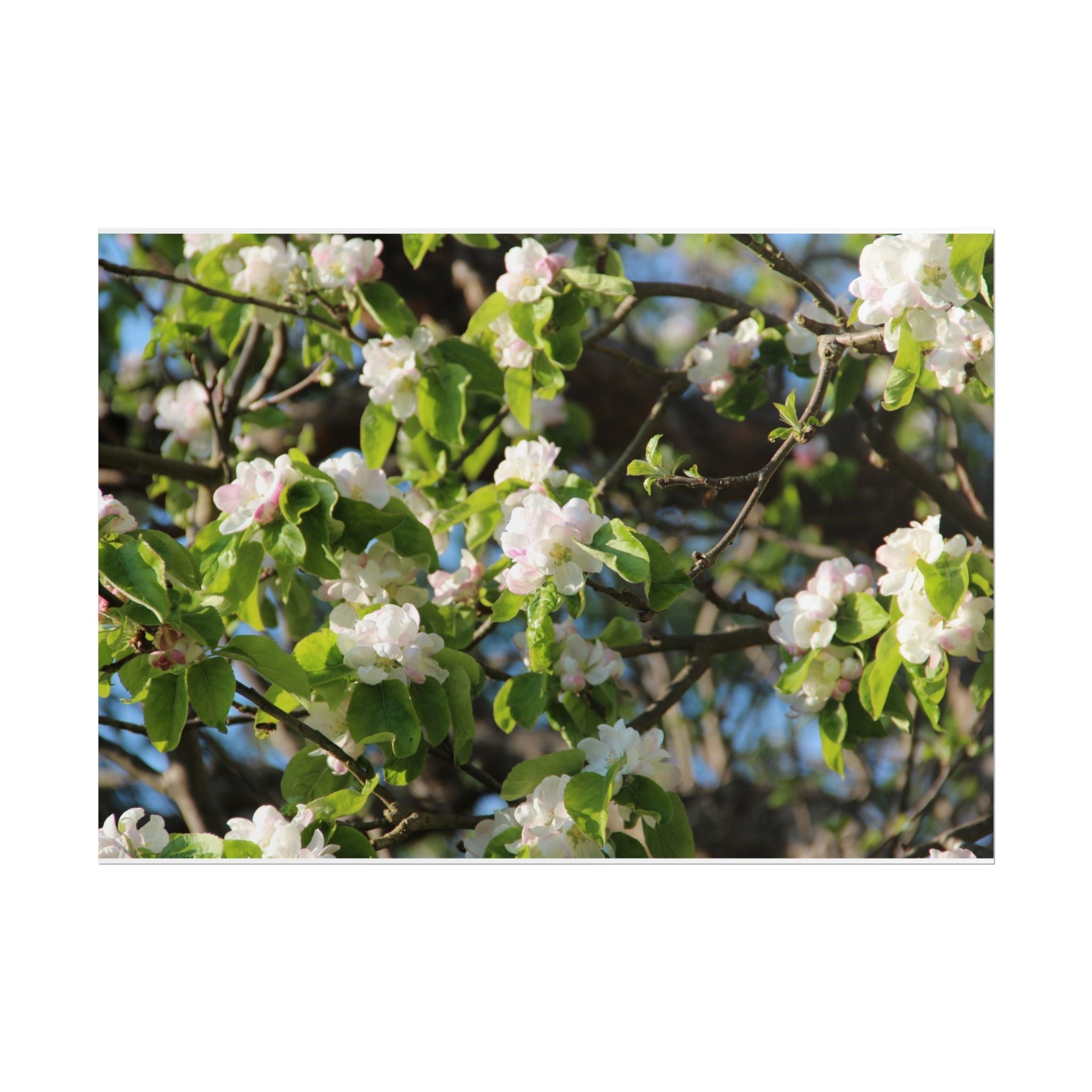 Photography Poster Prints