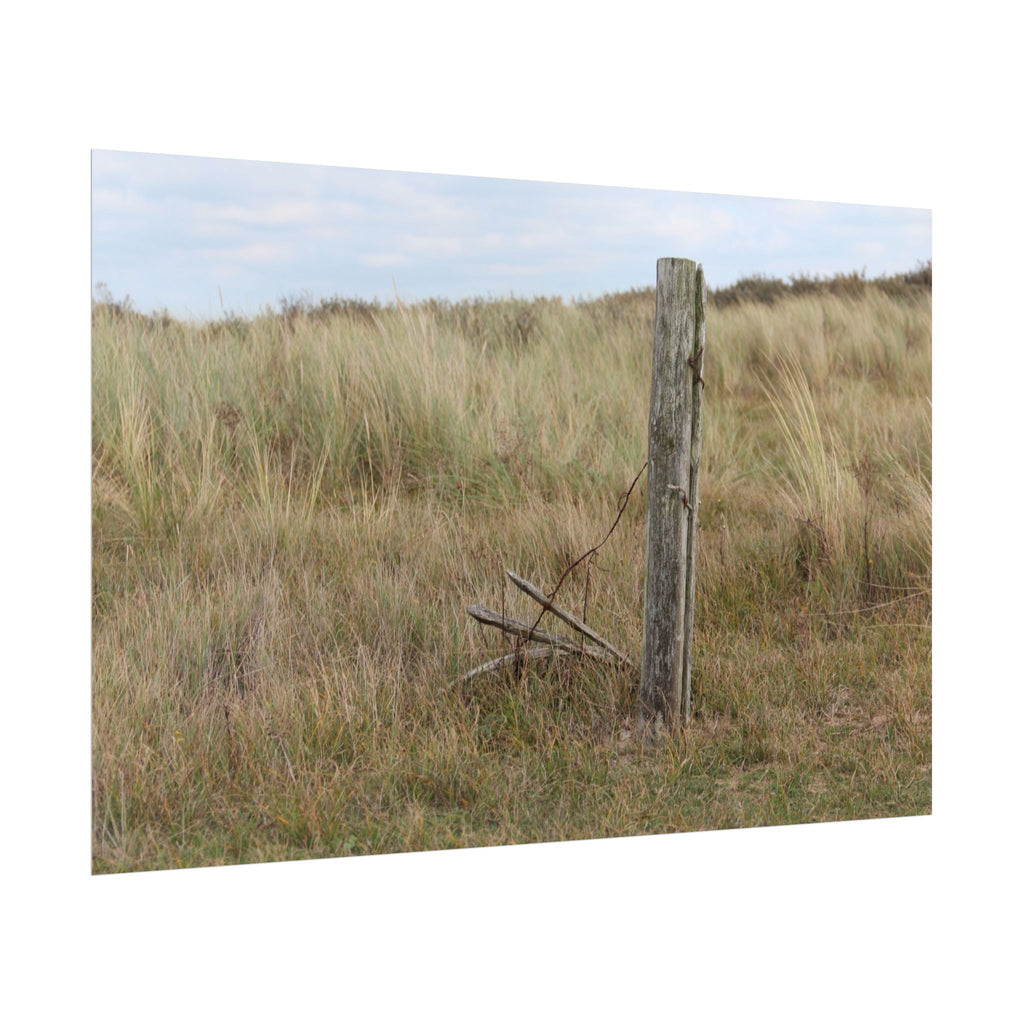 Fence Landscape Rolled Poster