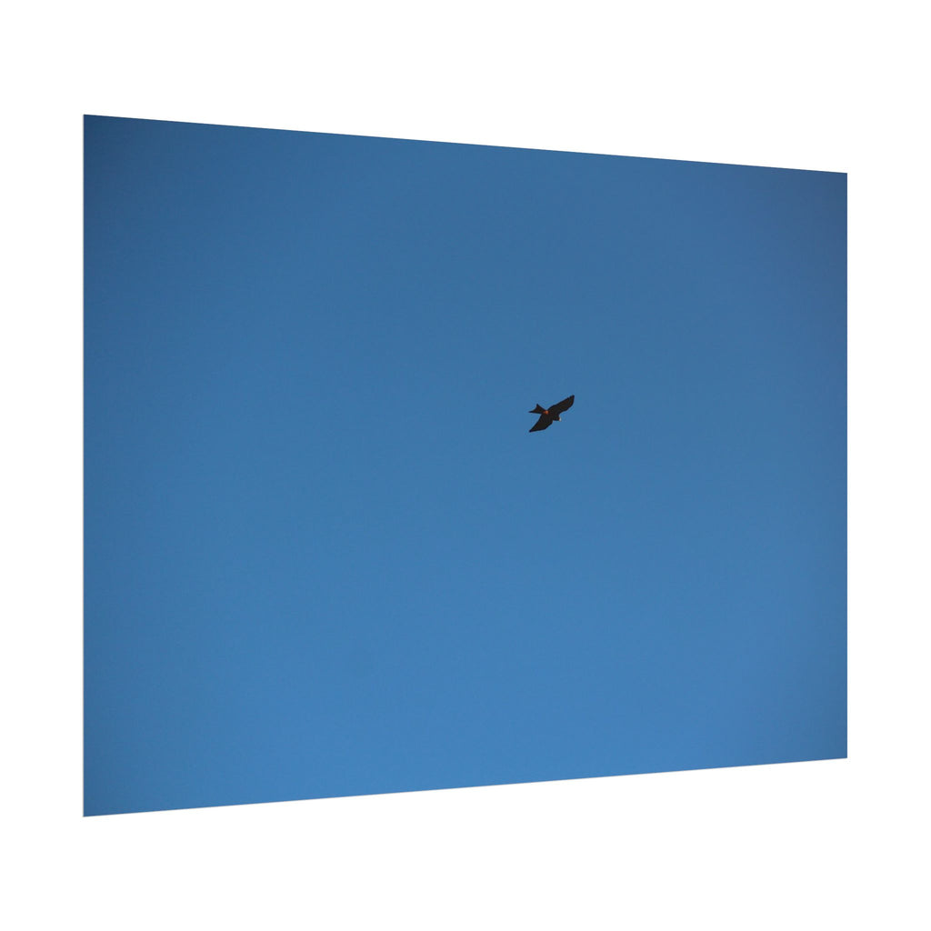 Solo Bird Rolled Poster