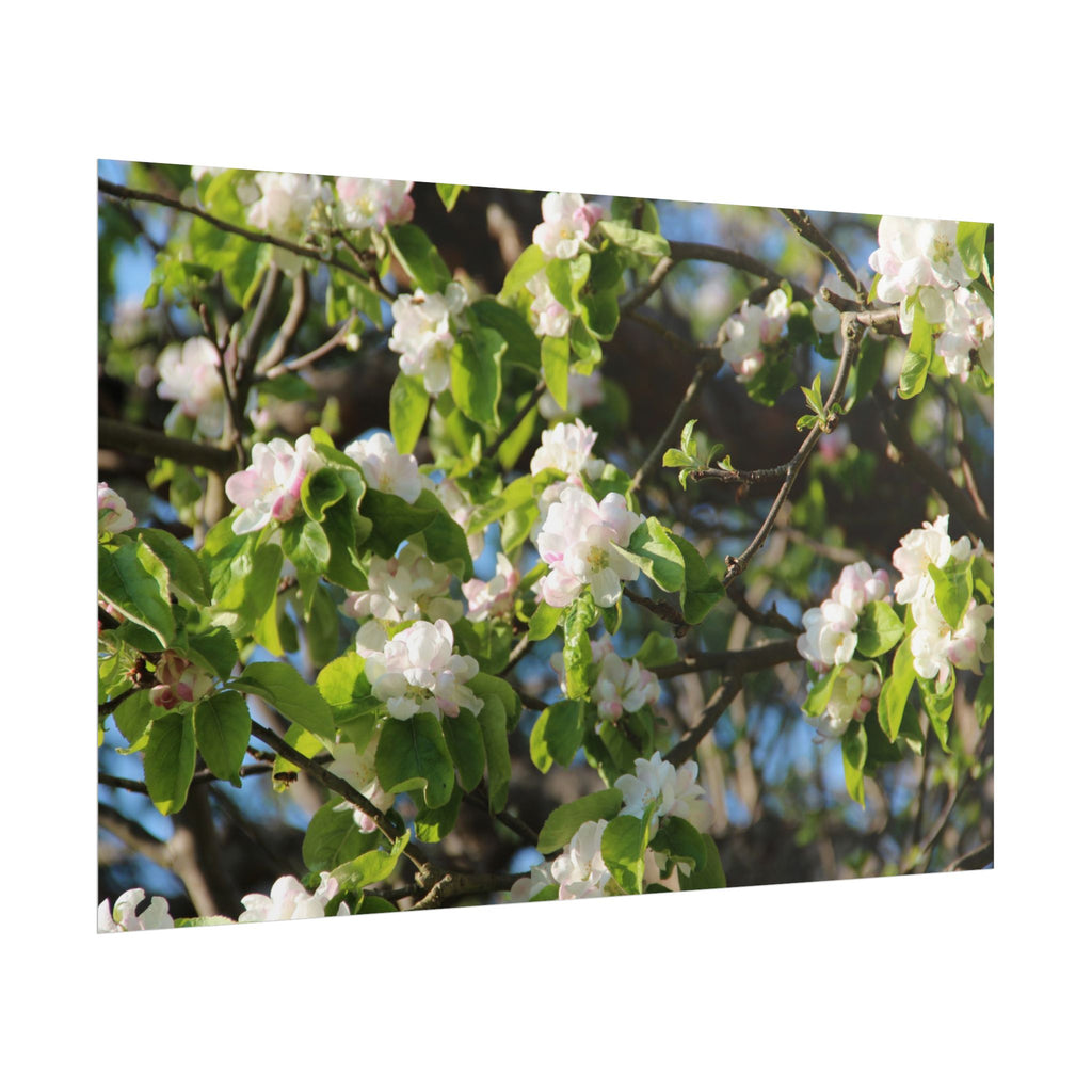 Floral Spring Rolled Poster