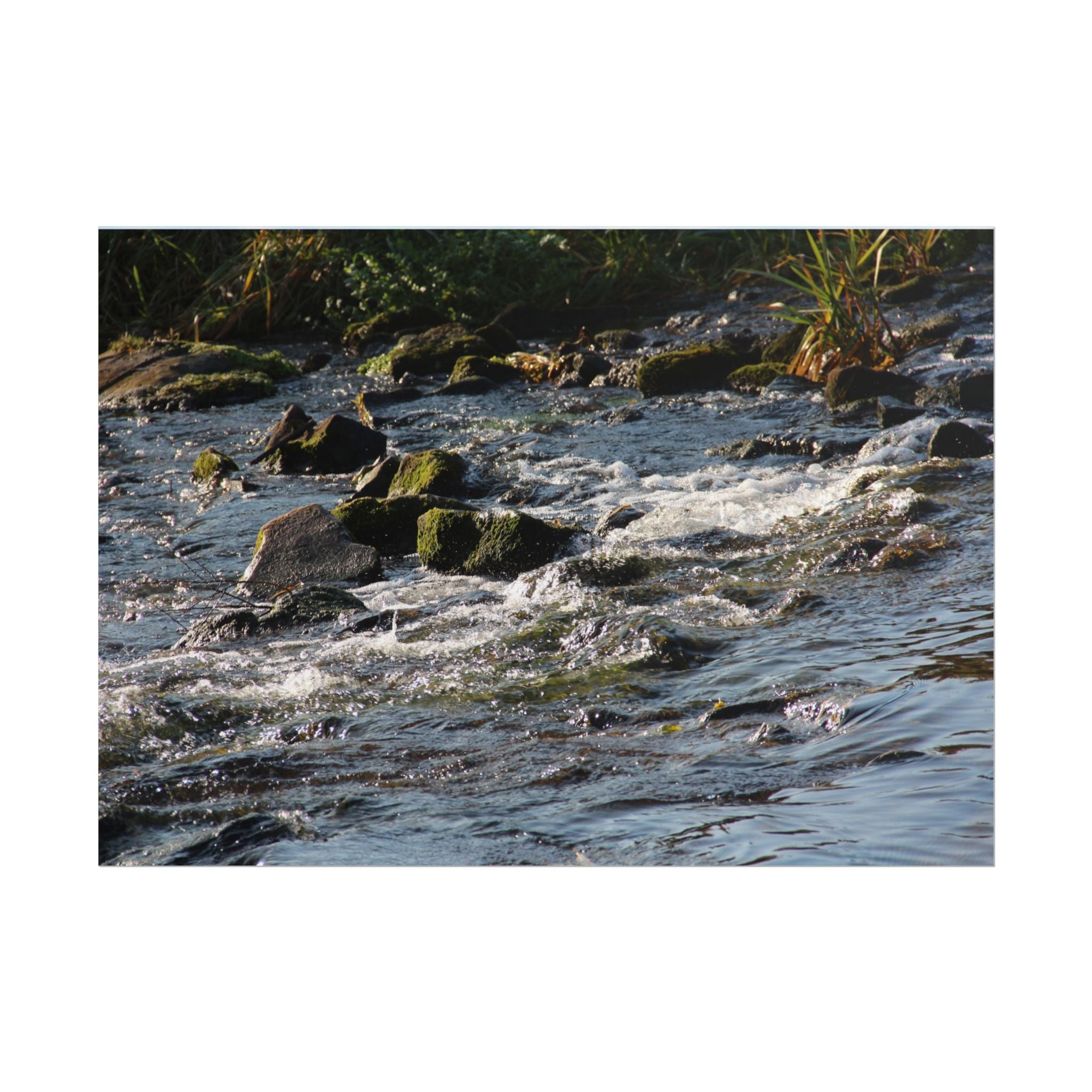 River Scene Rolled Poster