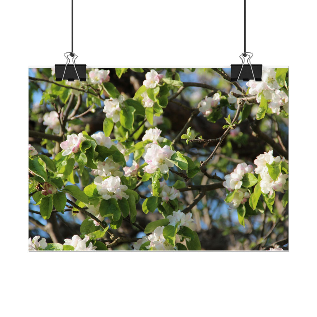 Floral Spring Rolled Poster