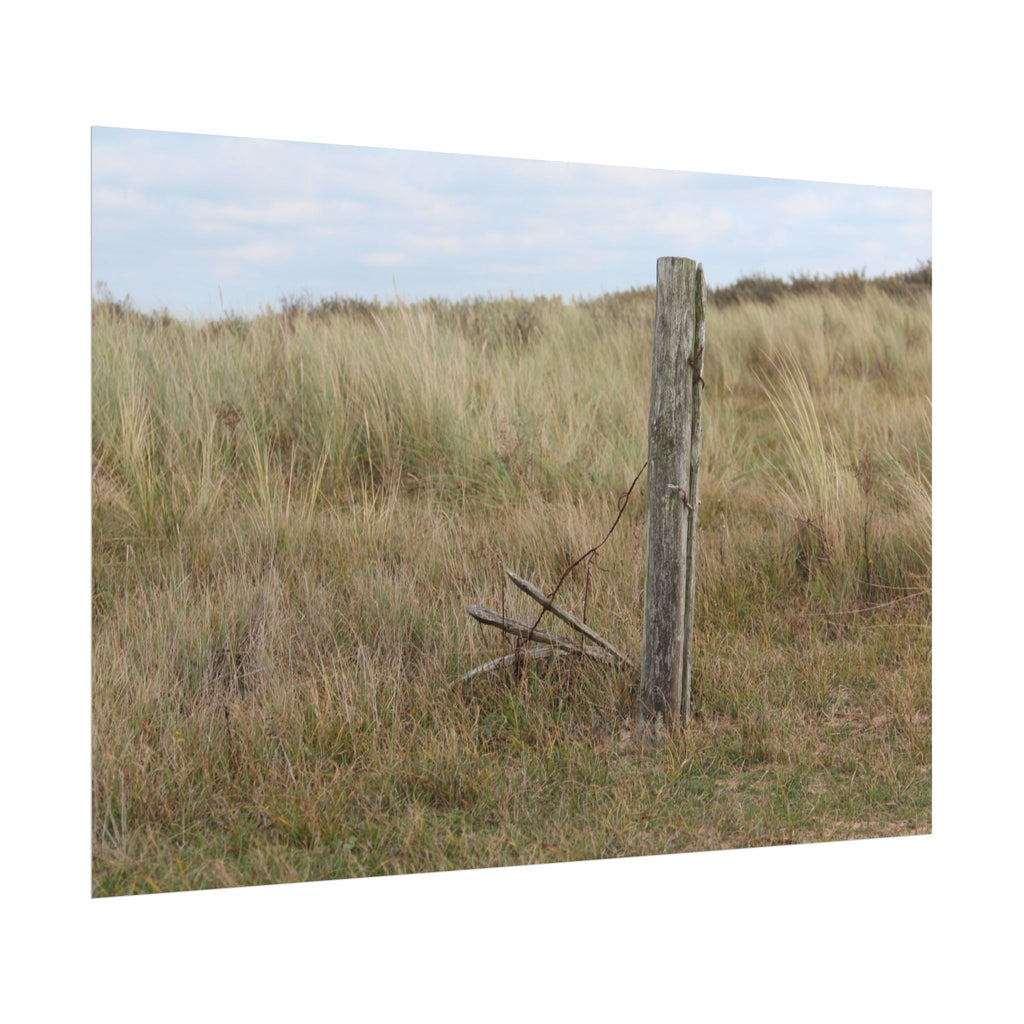 Fence Landscape Rolled Poster