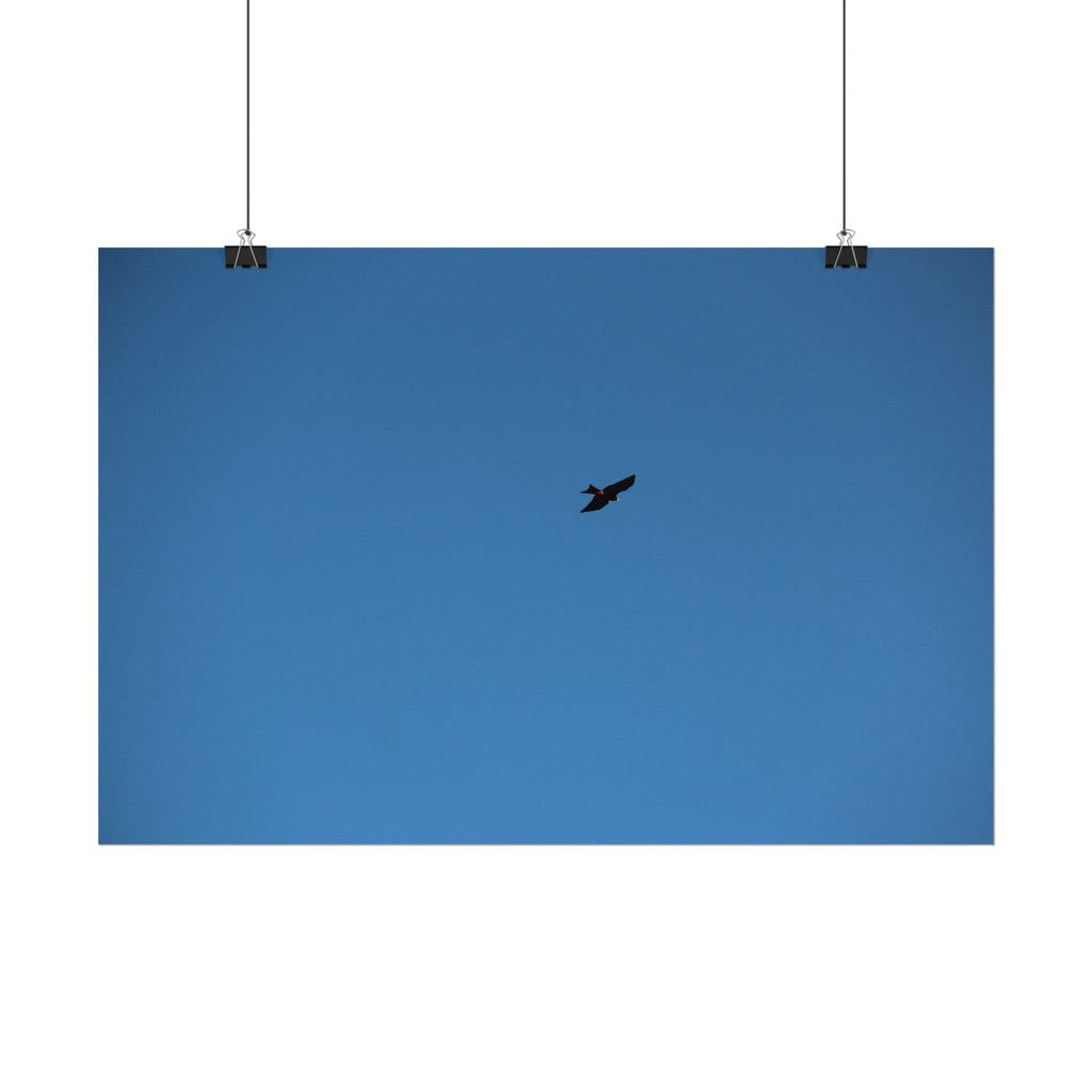 Solo Bird Rolled Poster