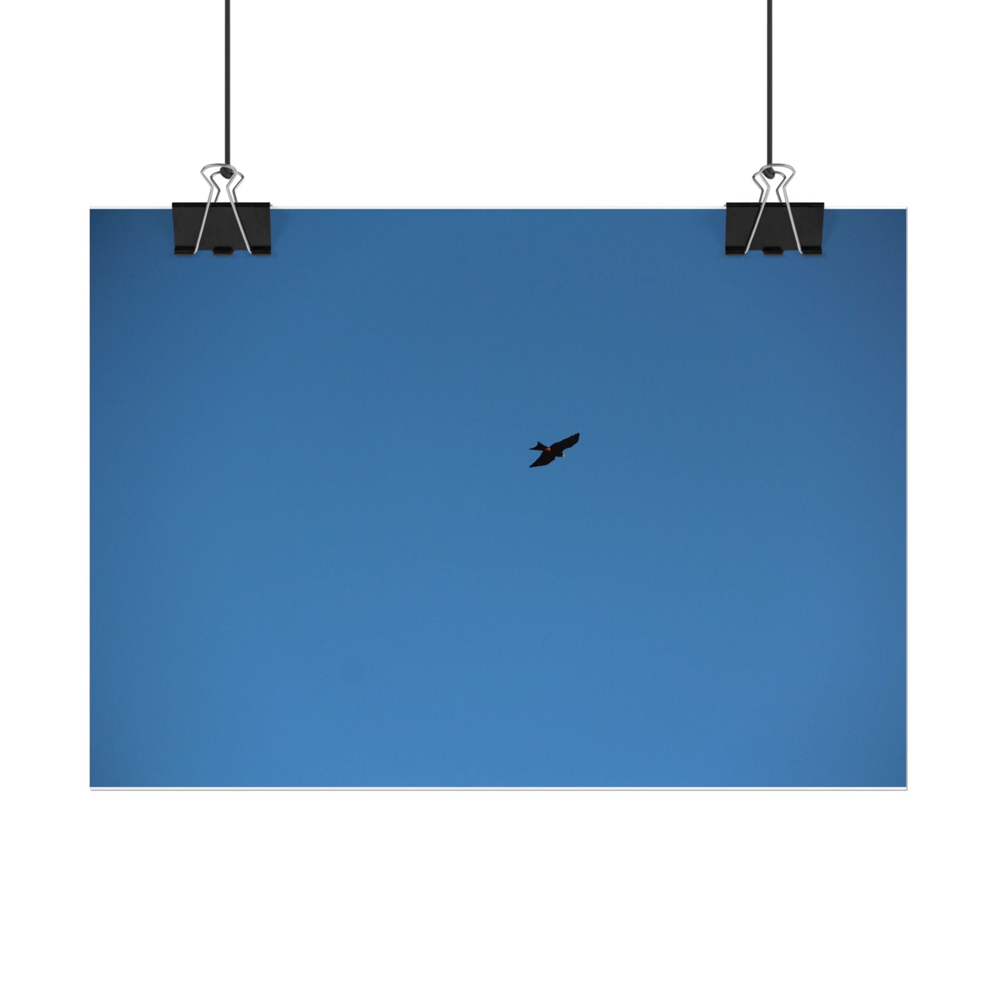 Solo Bird Rolled Poster