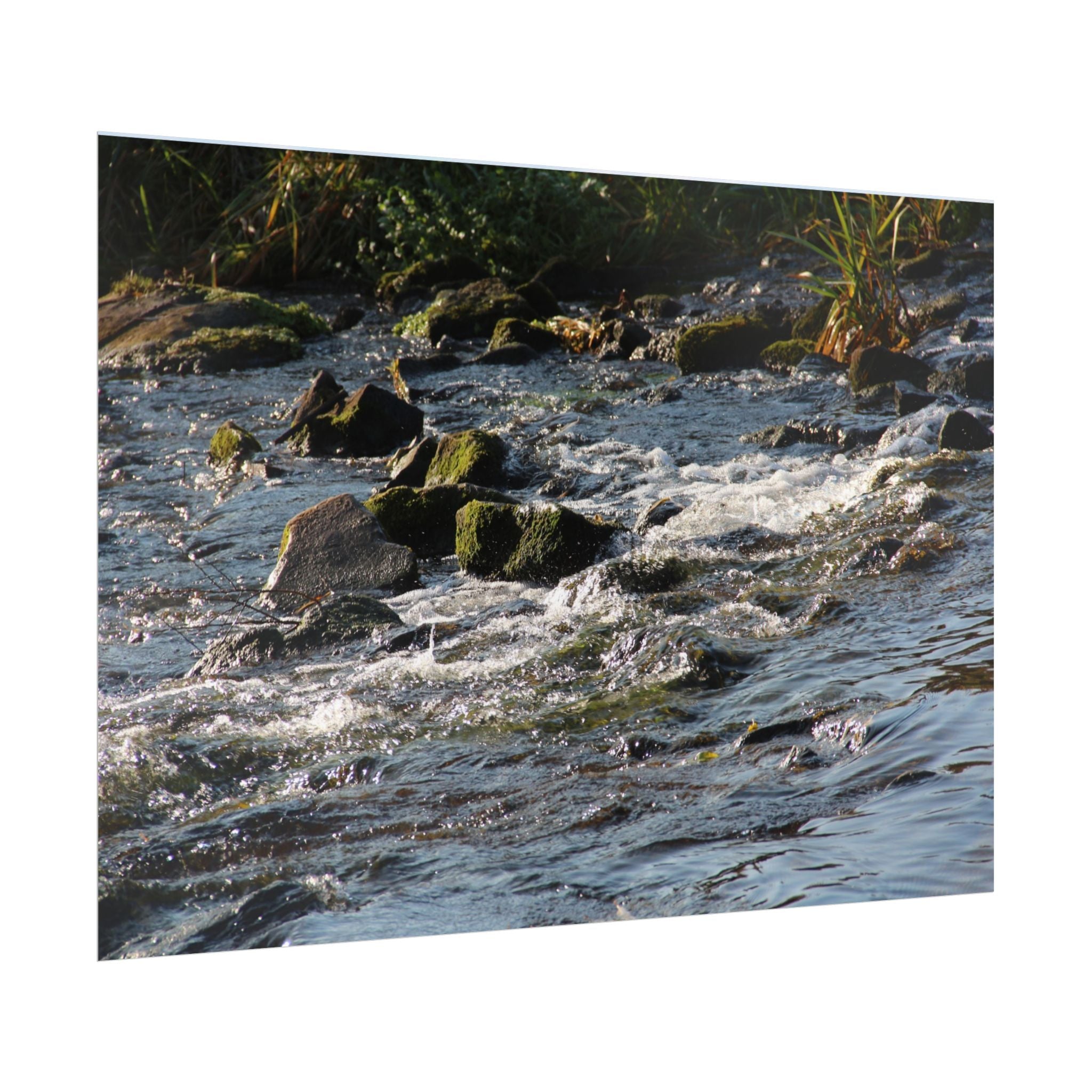 River Scene Rolled Poster