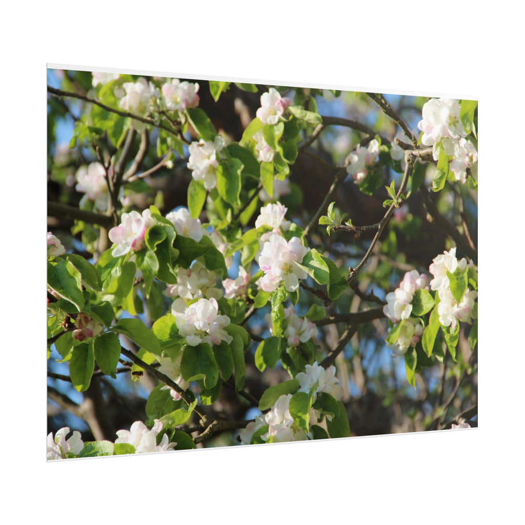 Floral Spring Rolled Poster