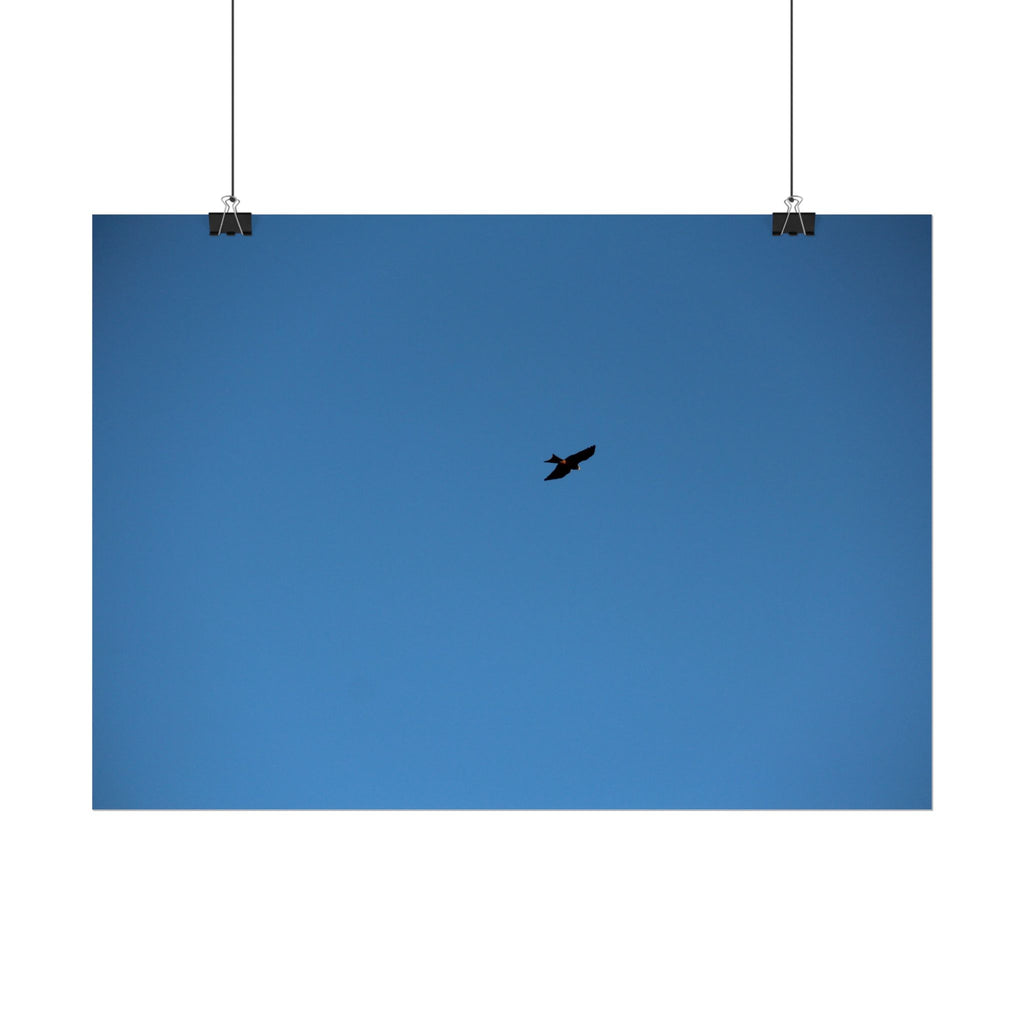 Solo Bird Rolled Poster