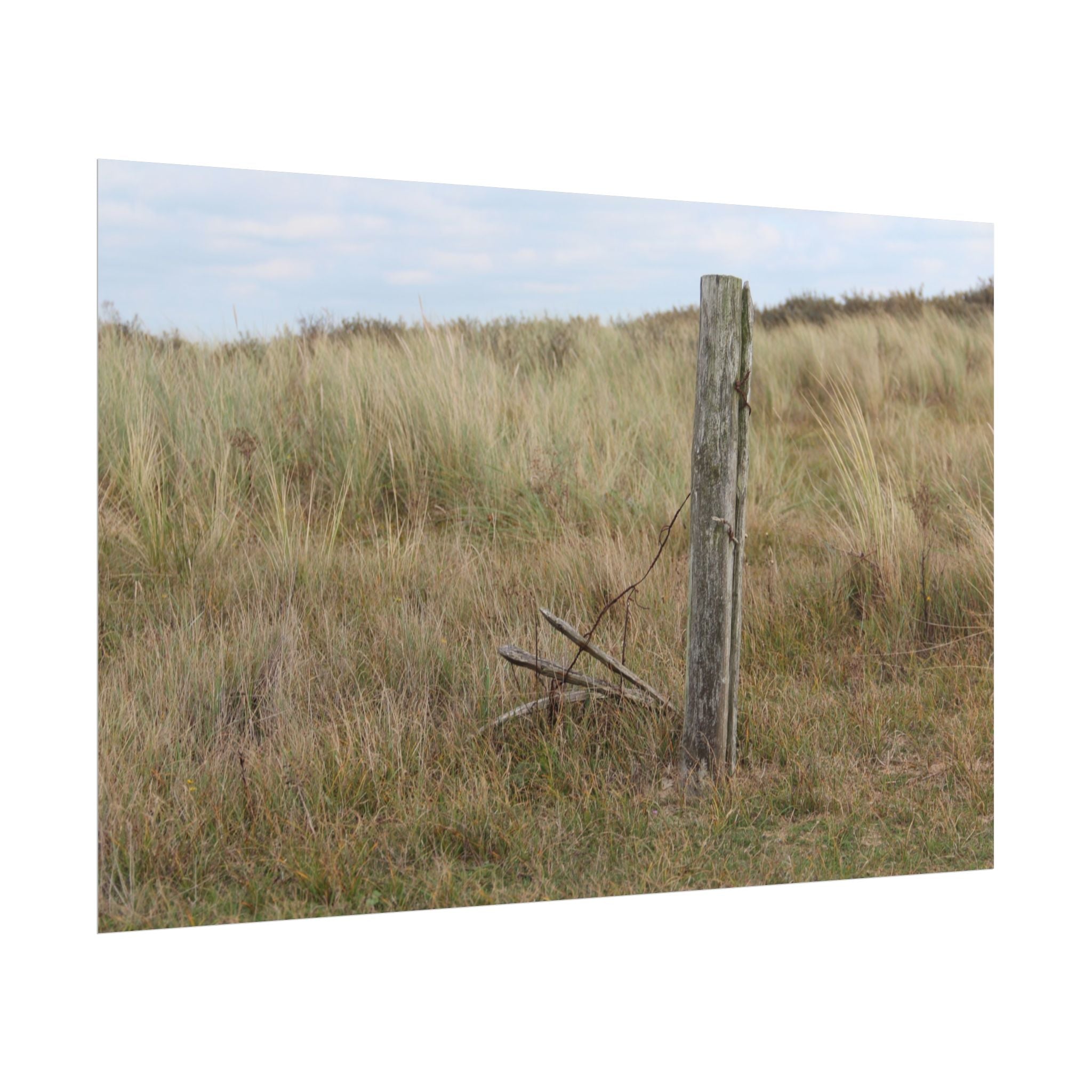 Fence Landscape Rolled Poster