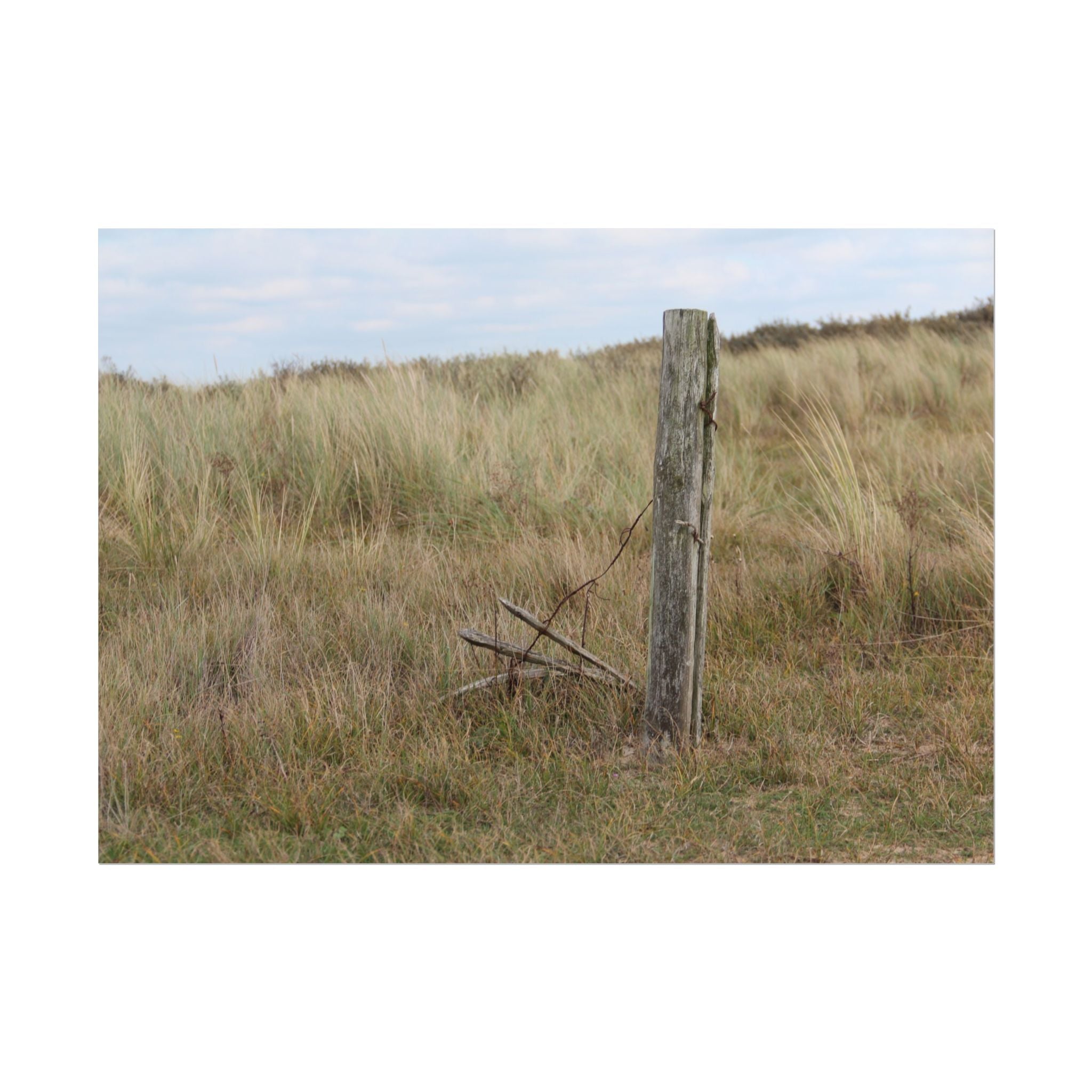 Fence Landscape Rolled Poster