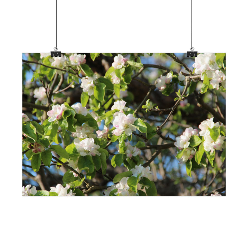 Floral Spring Rolled Poster