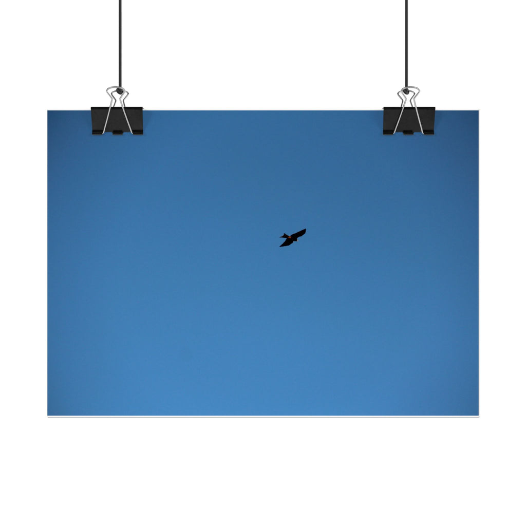 Solo Bird Rolled Poster