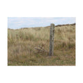 Fence Landscape Rolled Poster
