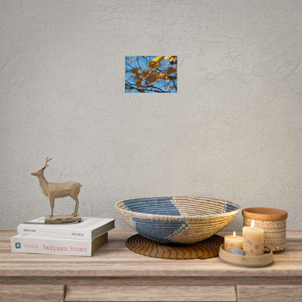 Yellow Leaves Rolled Poster