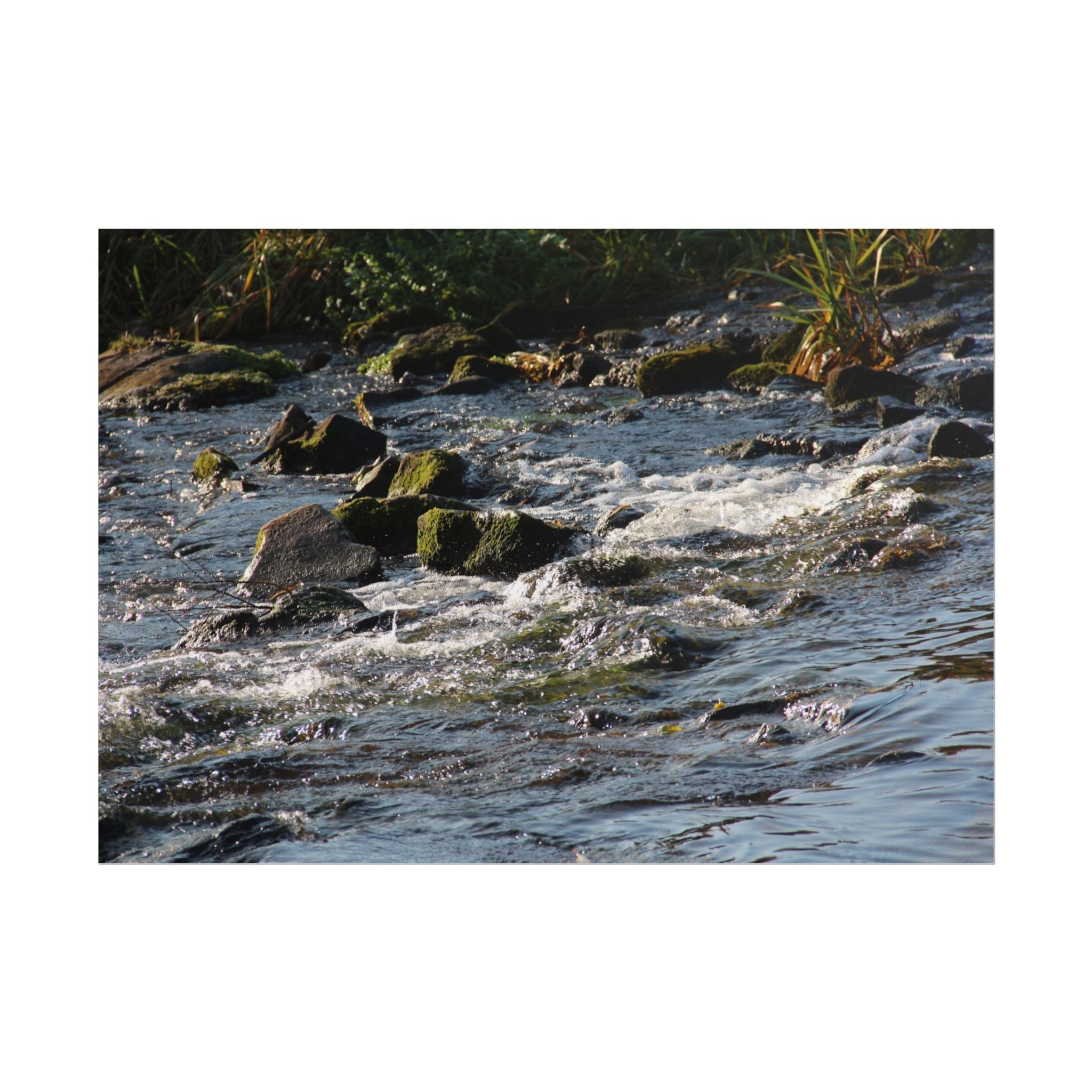 River Scene Rolled Poster