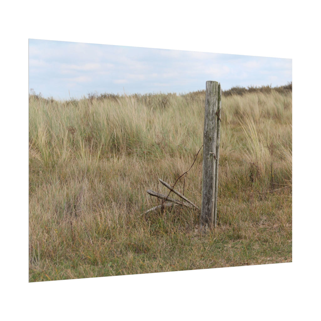 Fence Landscape Rolled Poster