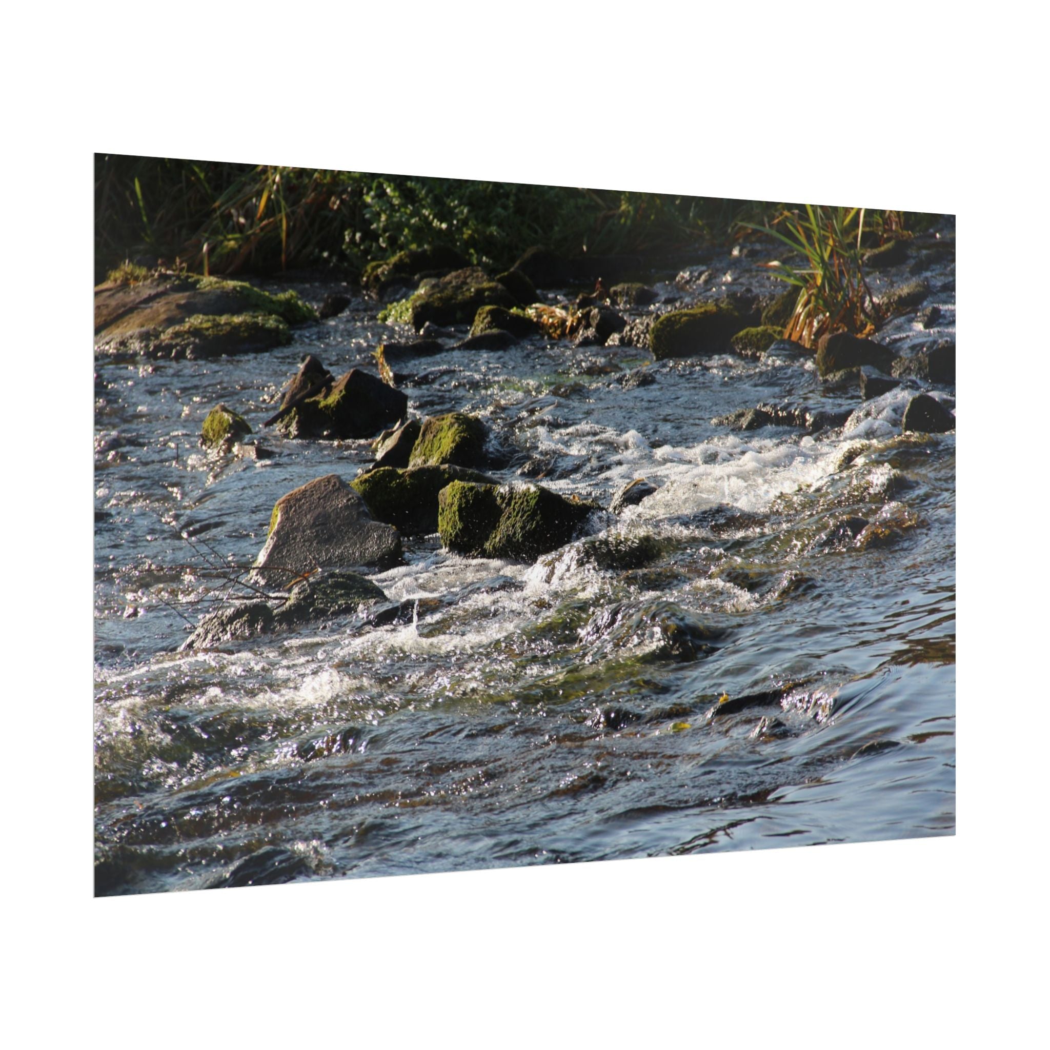 River Scene Rolled Poster