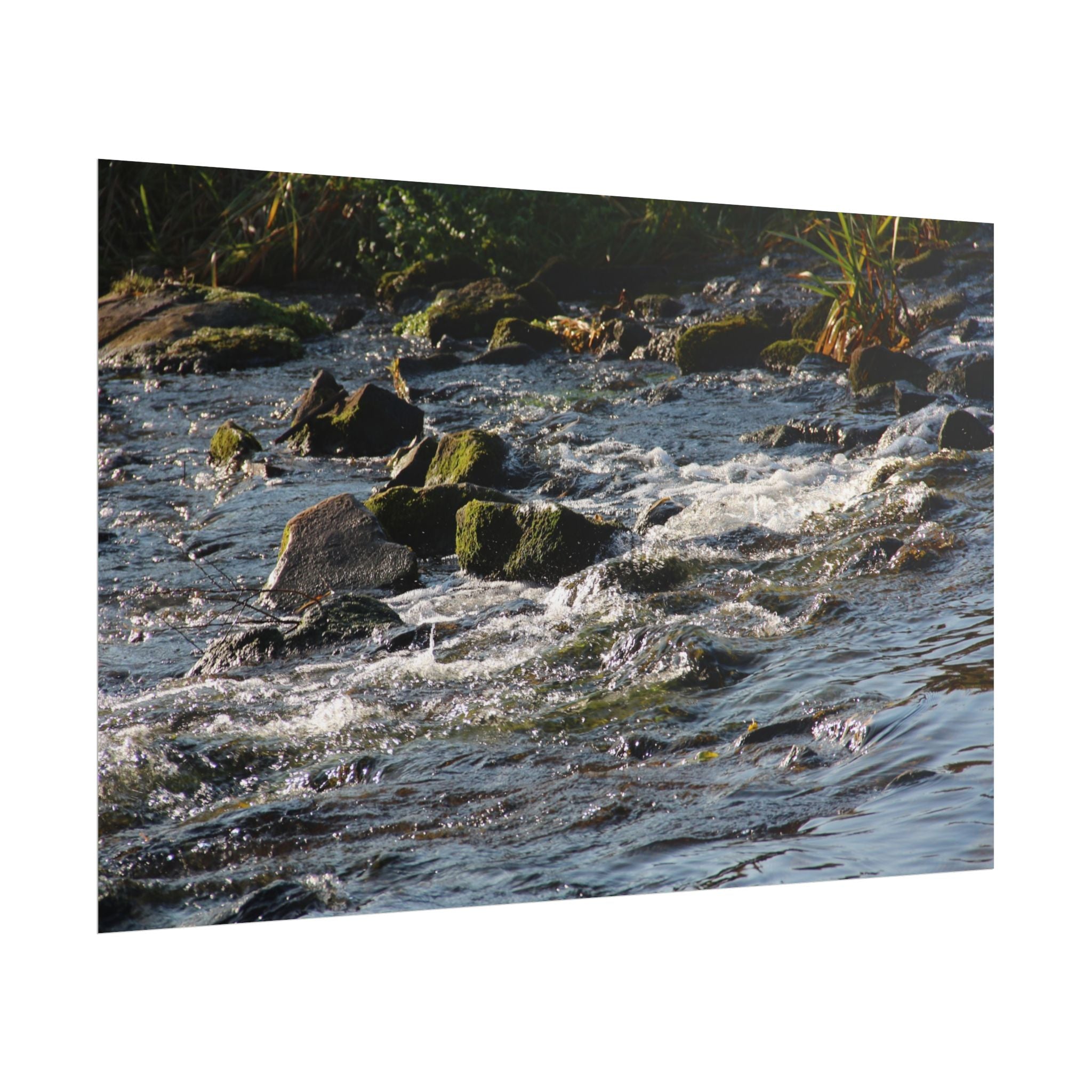 River Scene Rolled Poster