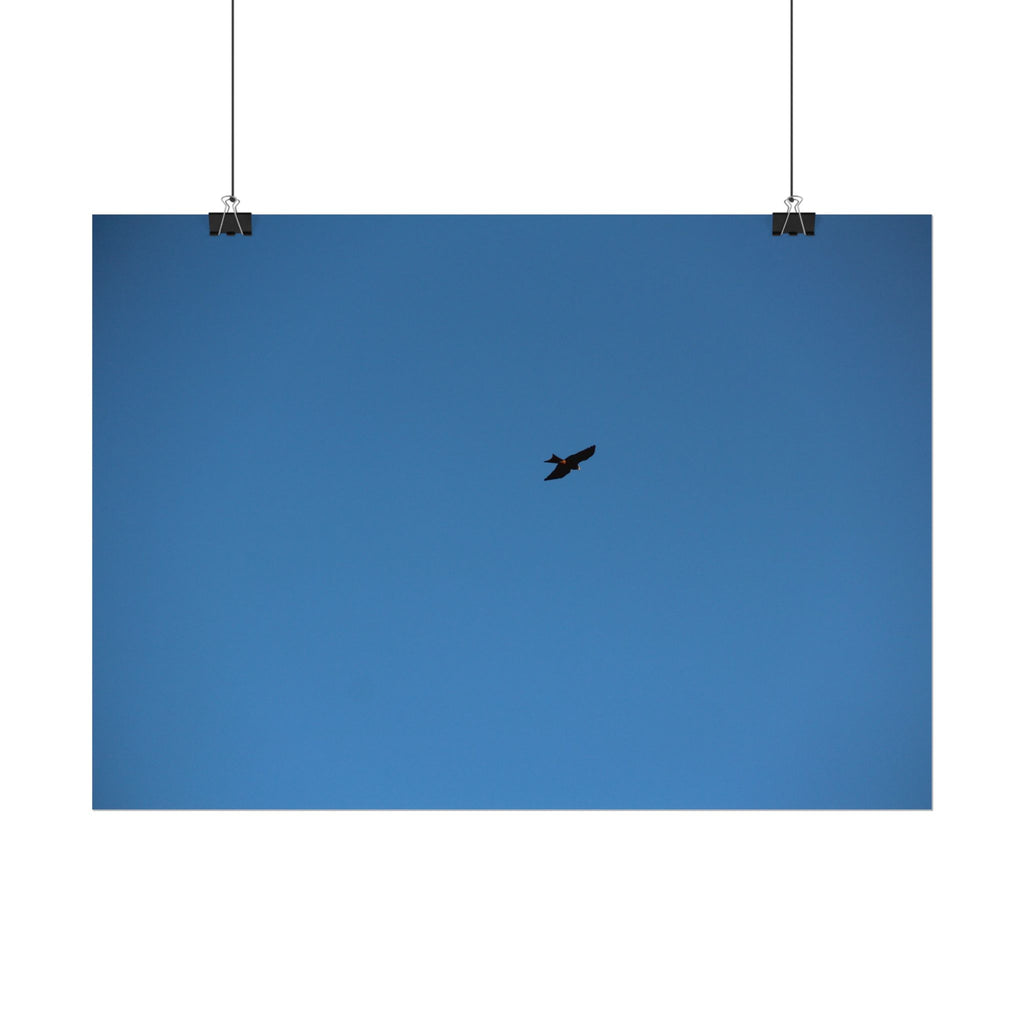 Solo Bird Rolled Poster