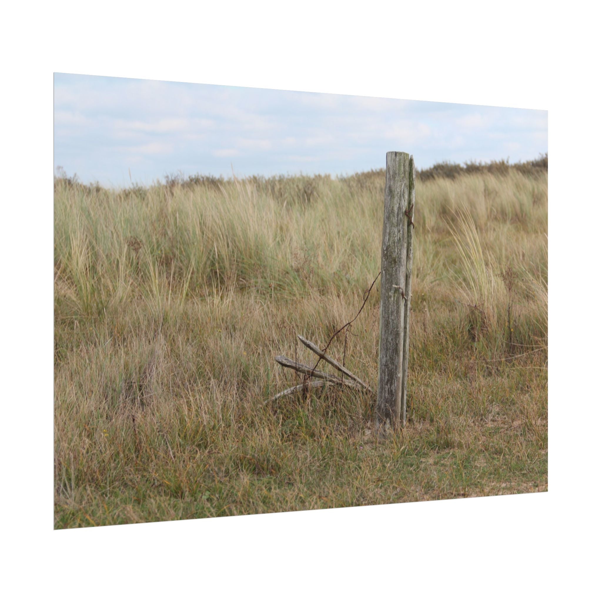 Fence Landscape Rolled Poster