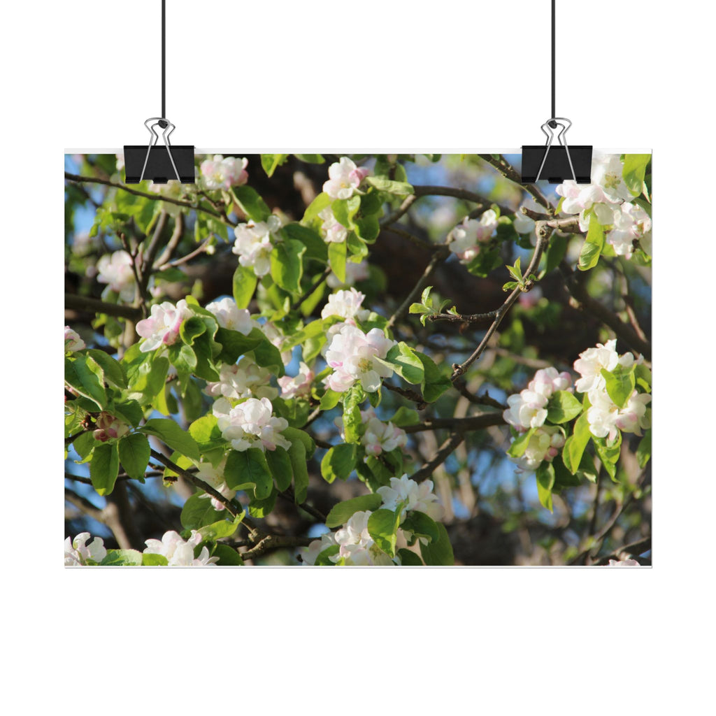 Floral Spring Rolled Poster