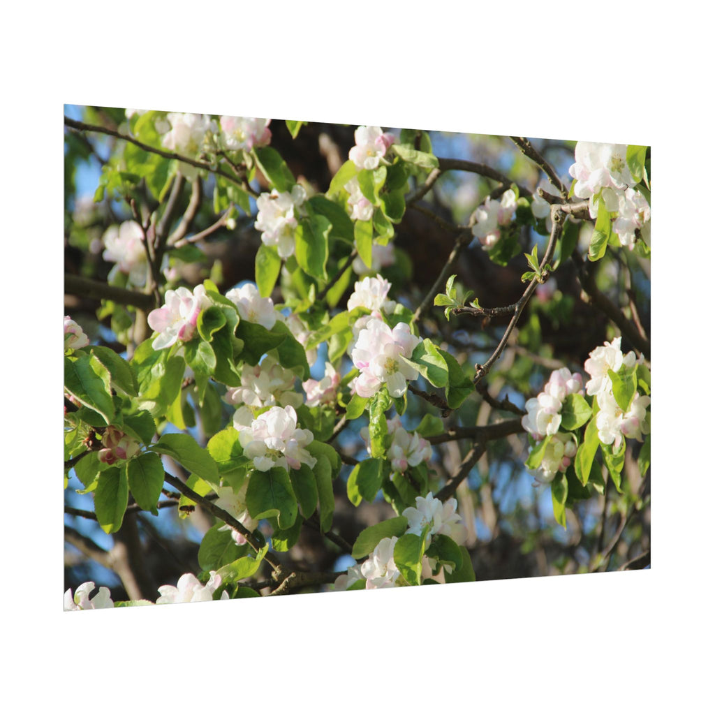 Floral Spring Rolled Poster