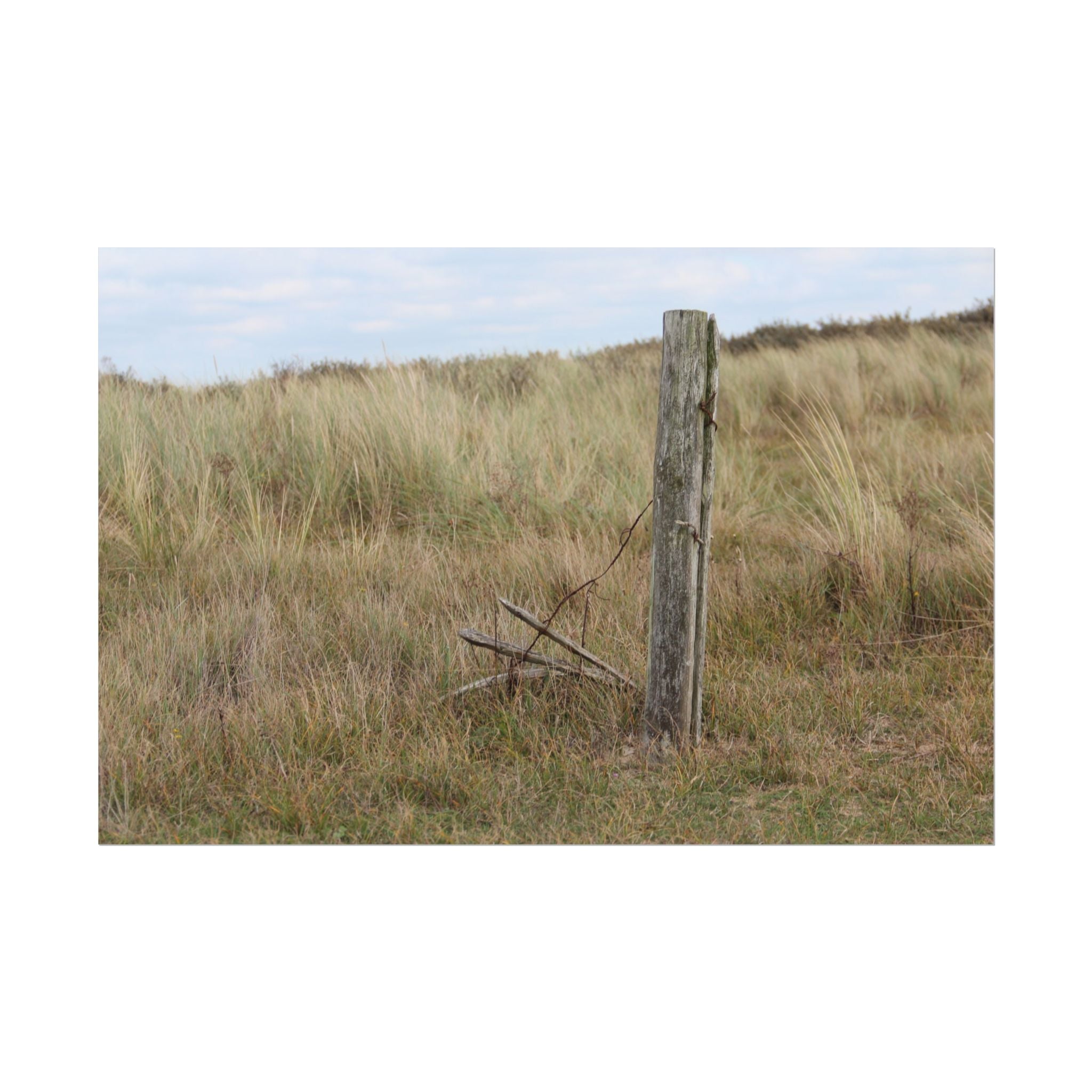 Fence Landscape Rolled Poster