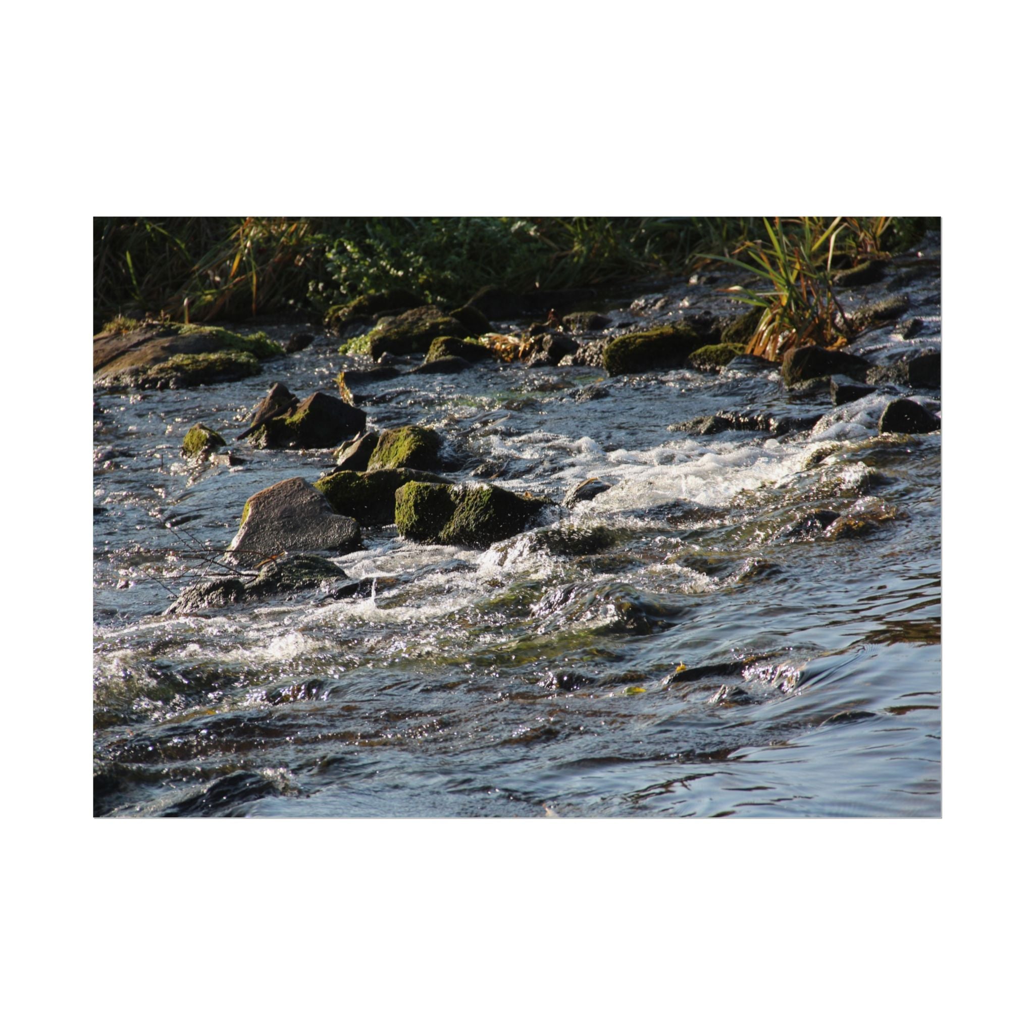 River Scene Rolled Poster