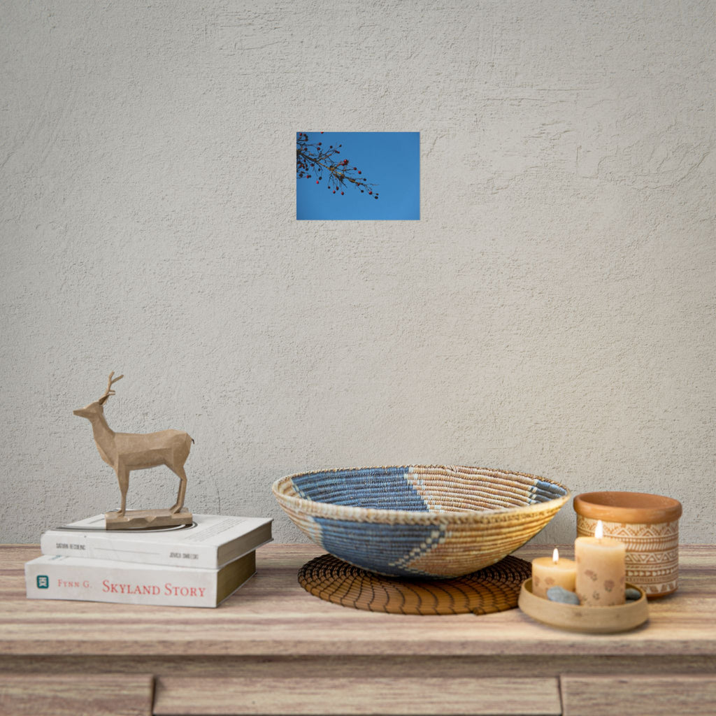 Winter Berries 2 Rolled Poster