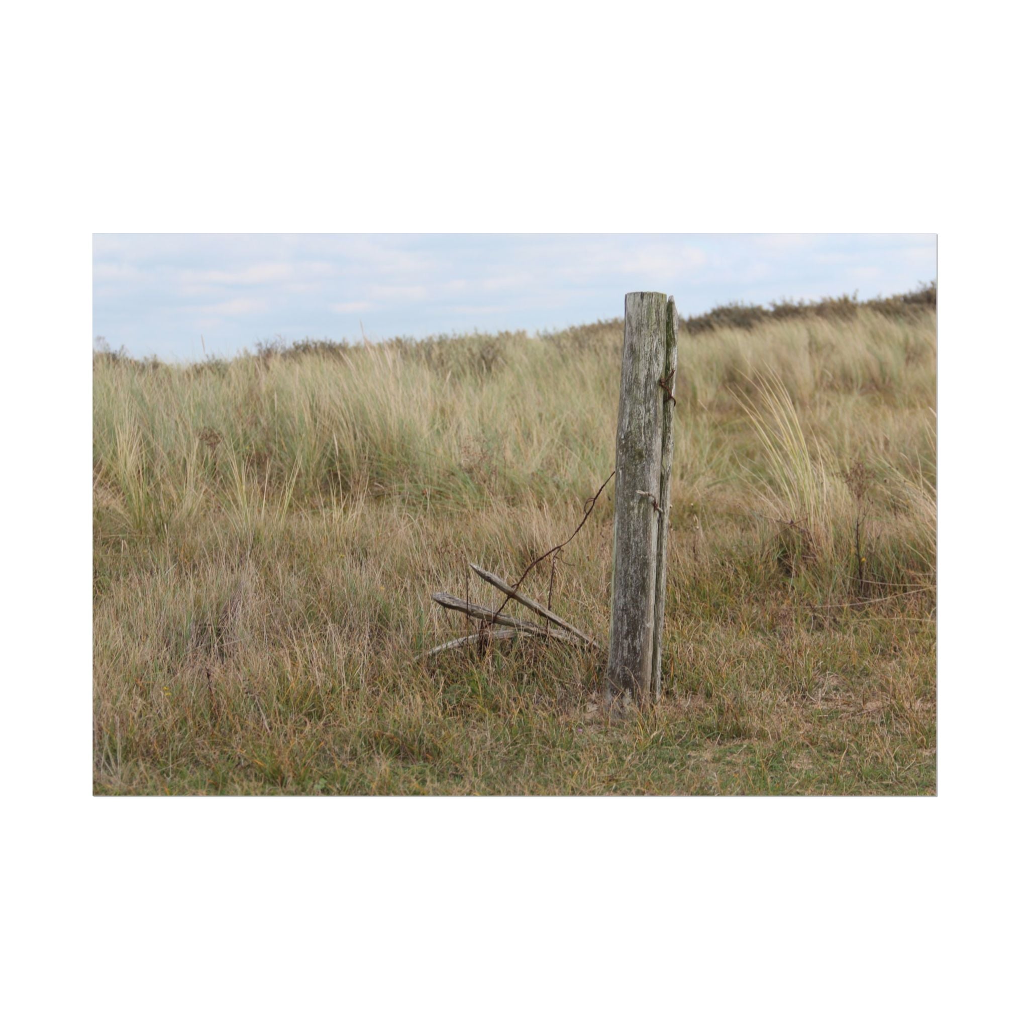 Fence Landscape Rolled Poster