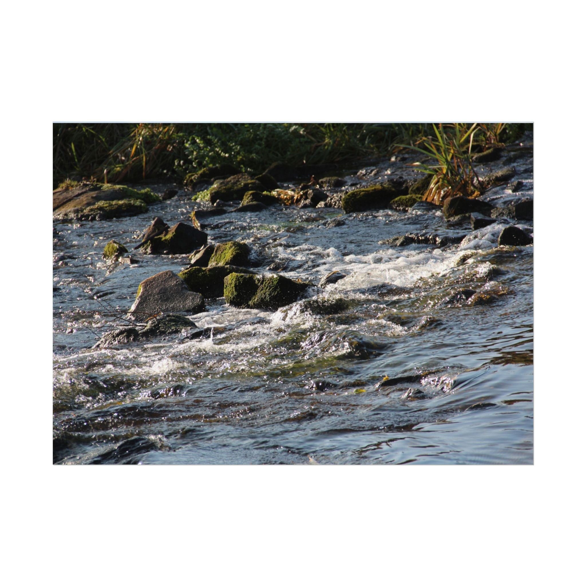 River Scene Rolled Poster