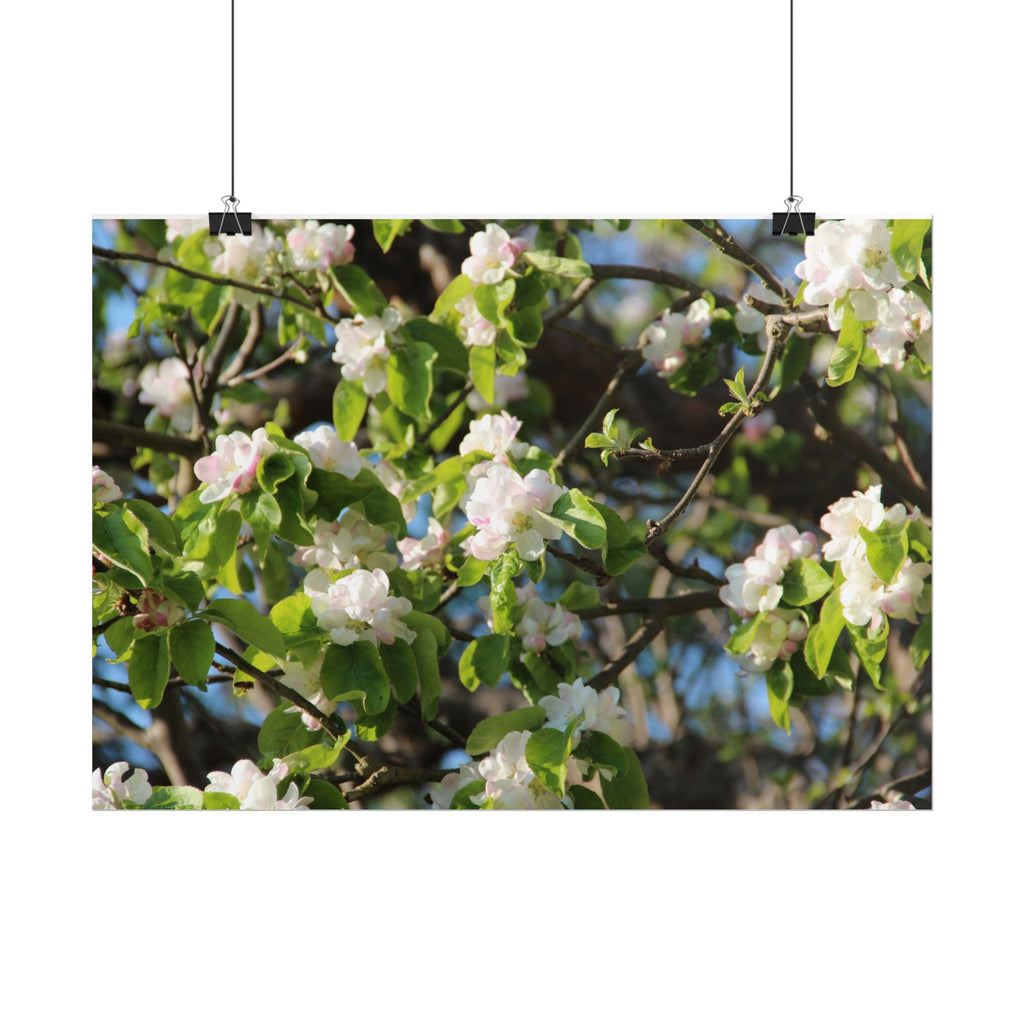 Floral Spring Rolled Poster