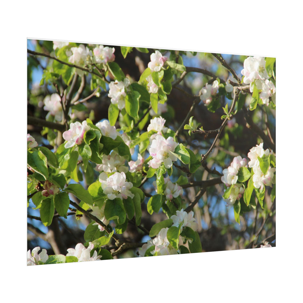 Floral Spring Rolled Poster