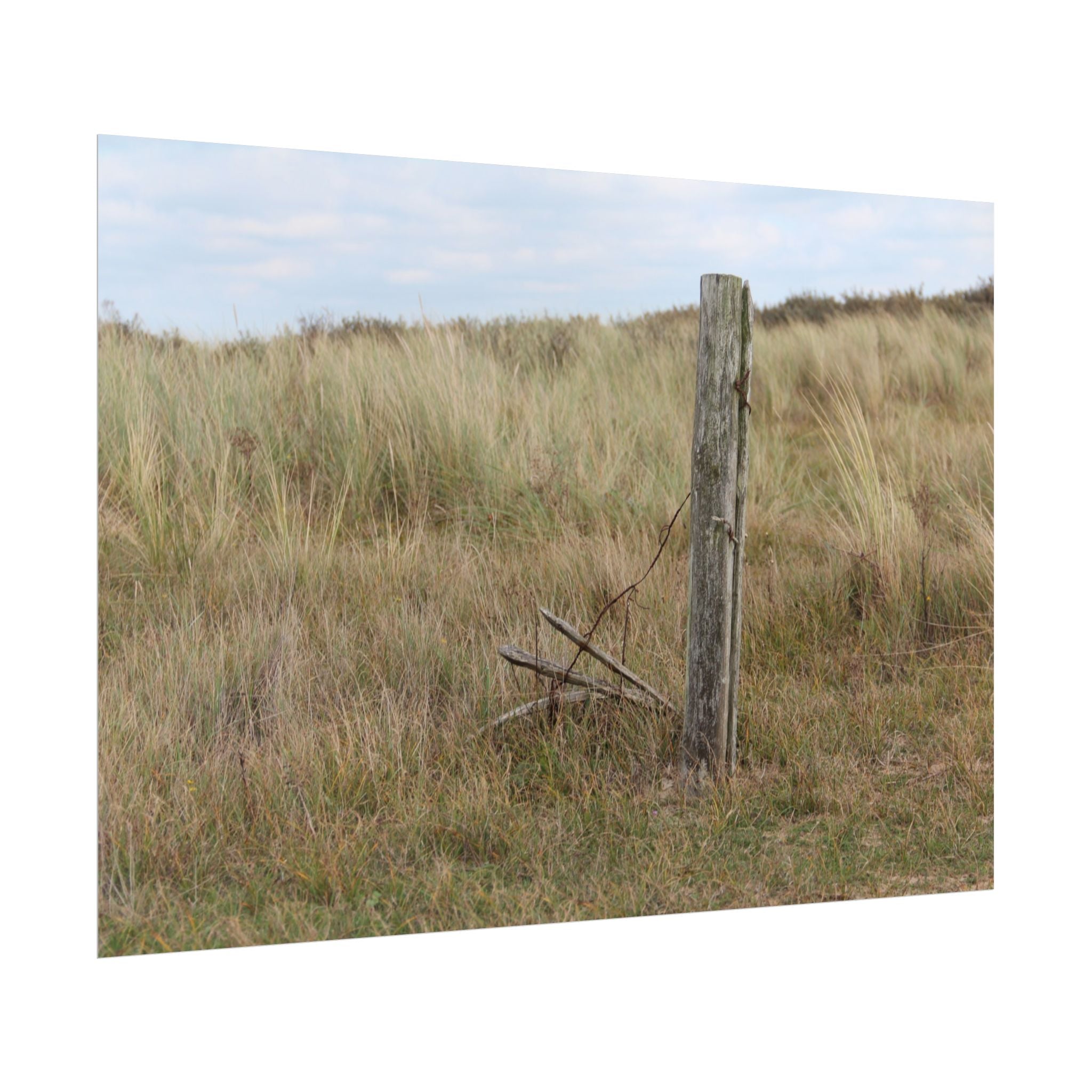 Fence Landscape Rolled Poster